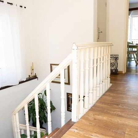 M&B Apartment 科托尔 外观 照片