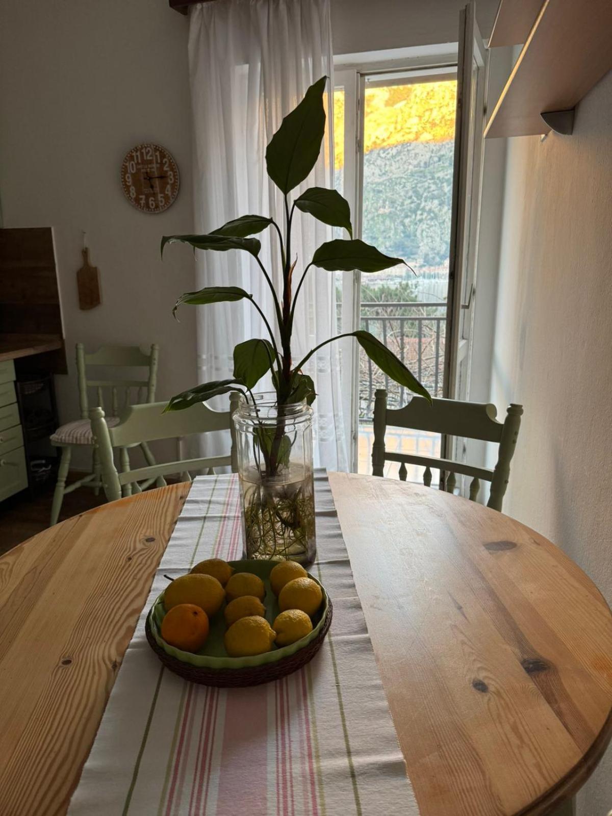 M&B Apartment 科托尔 外观 照片
